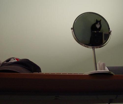 mirror-brutus2.jpg
