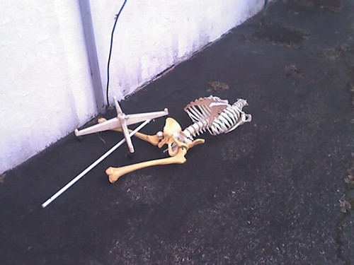 skeleton.jpg